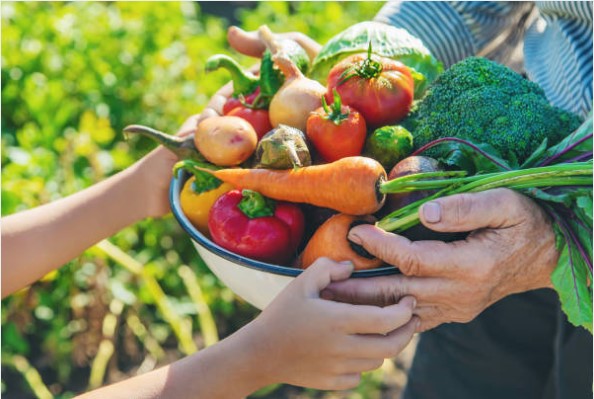 un panier de légumes dans les mains de deux personnes sur le site epicerie-sociale-solidaire-lapasserelle
