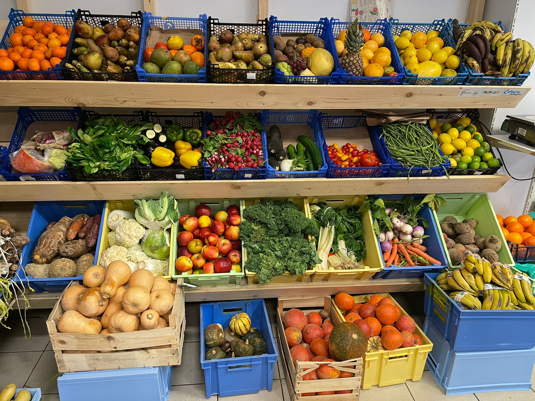 rayon montrant legumes et fruits sur le site epicereie-sociale-solidaire-lapasserelle